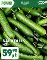 SALATALIK KG